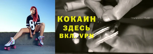 прущие крисы Горняк
