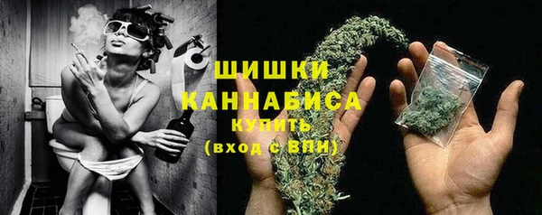 прущие крисы Горняк