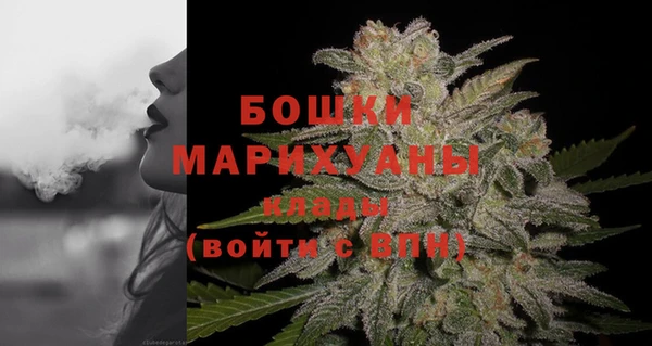 прущие крисы Горняк