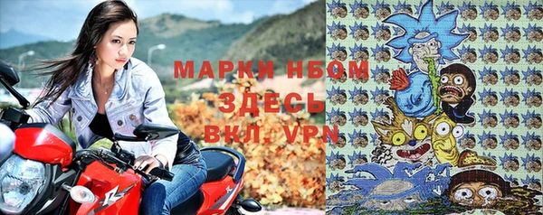 прущие крисы Горняк