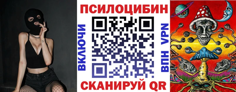 Галлюциногенные грибы Psilocybine cubensis  Невьянск 